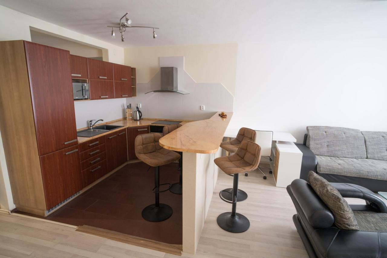 Apartment Vodni With Parking Brünn  Kültér fotó